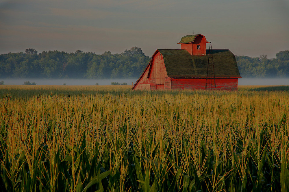 farm and crop insurance Suffield CT
